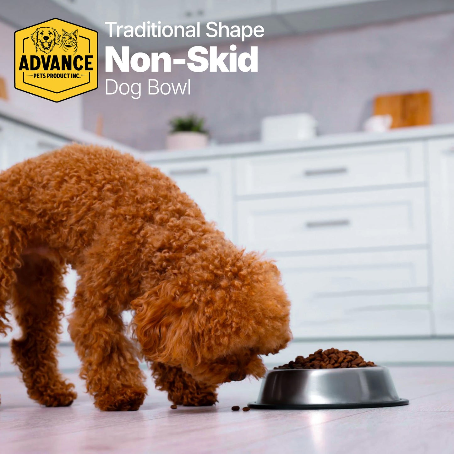 Traditional Shape Non-Skid Stainless Steel Pet Bowl – Durable No-Tip Design for Dogs & Cats, Spill-Proof Stainless Bowl by Advance Pet Products - Advance Pets Product