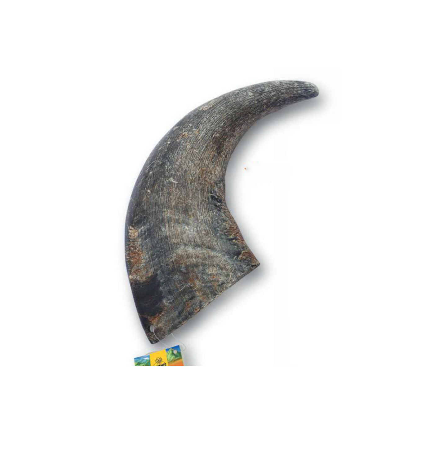 Buffalo Horn Mini Bite - Advance Pets Product