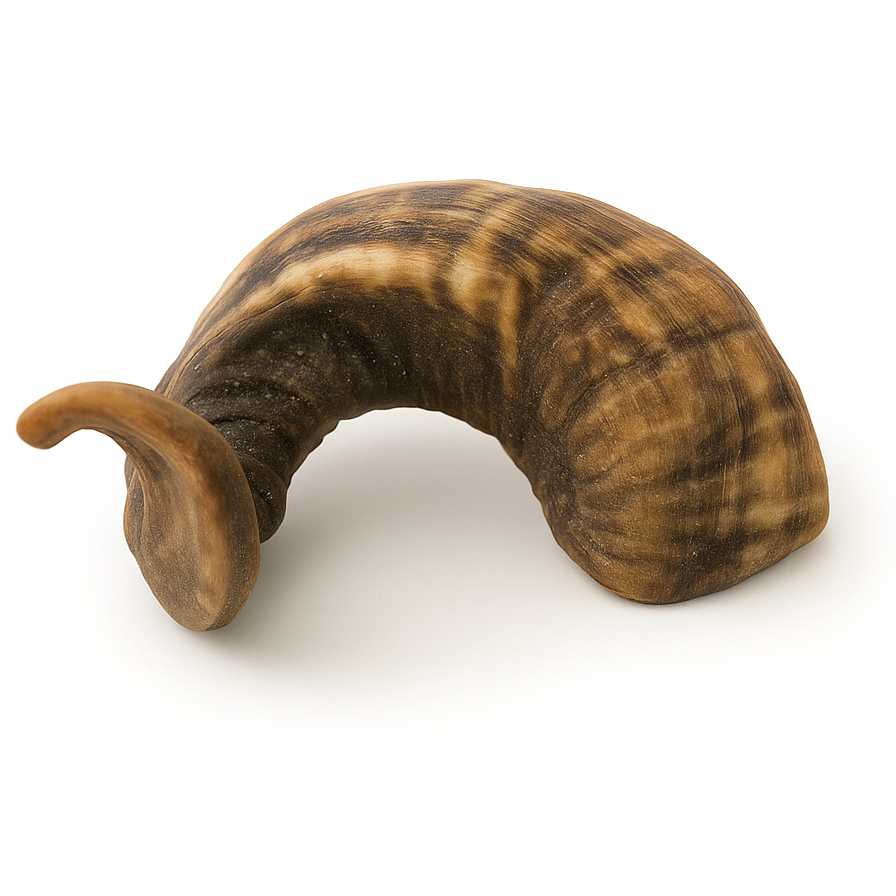 All-Natural Sheep Horn Dog Treats – Free-Range, Grass-Fed, Himalayan Sourced