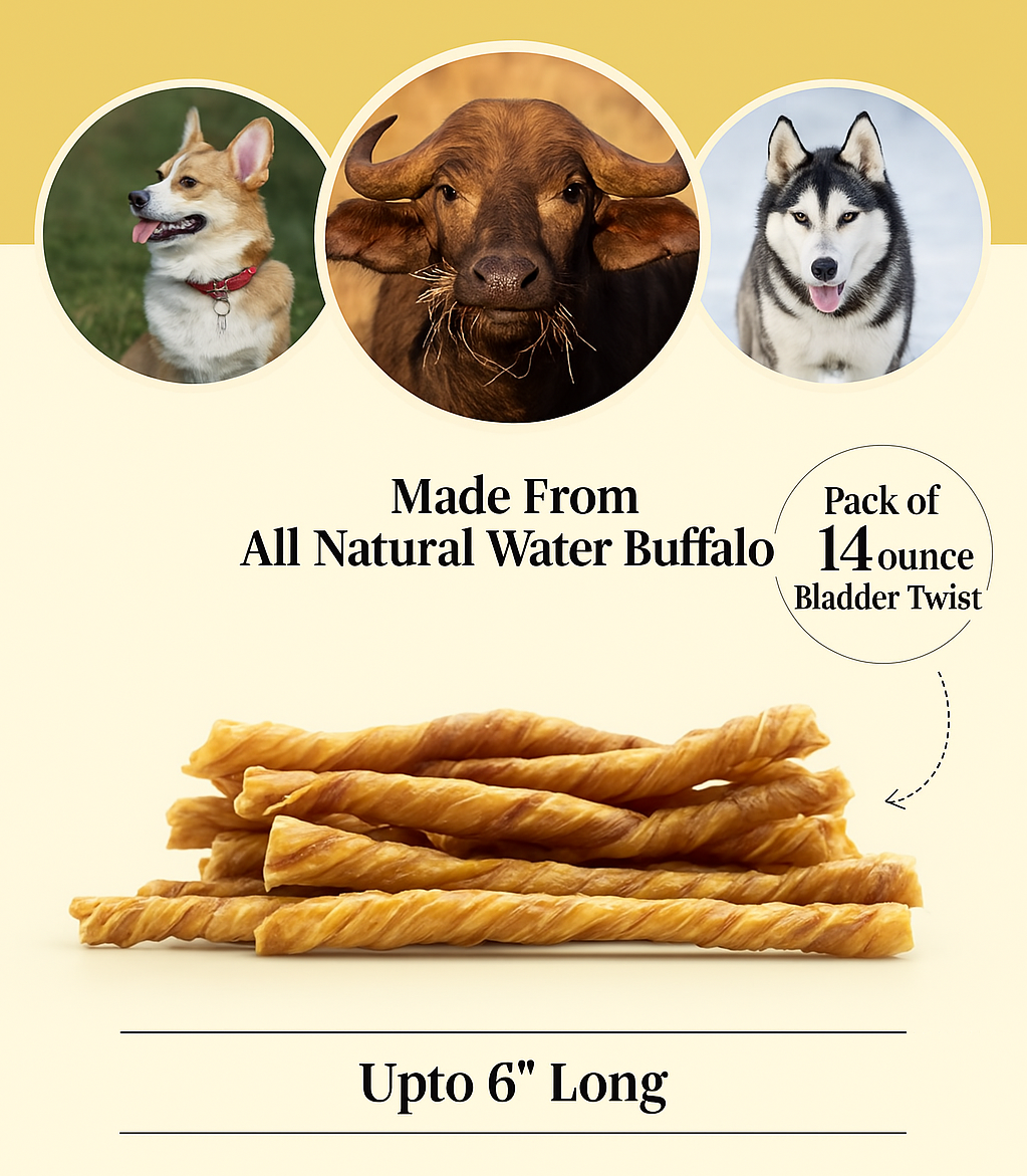 100% Natural Water Buffalo Bladder Twist Dog Chews – Grass-Fed, All-Natural Pet Treats - Advance Pets Product