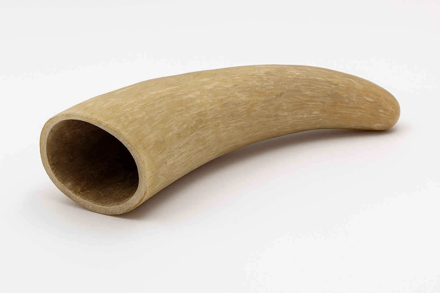 Buffalo Horn Core Dog Chews – Long-Lasting Natural Treats for Dogs - Advance Pets Product