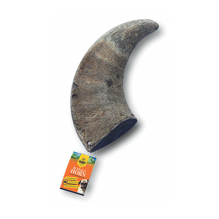 6” Buffalo Horn - Advance Pets Product