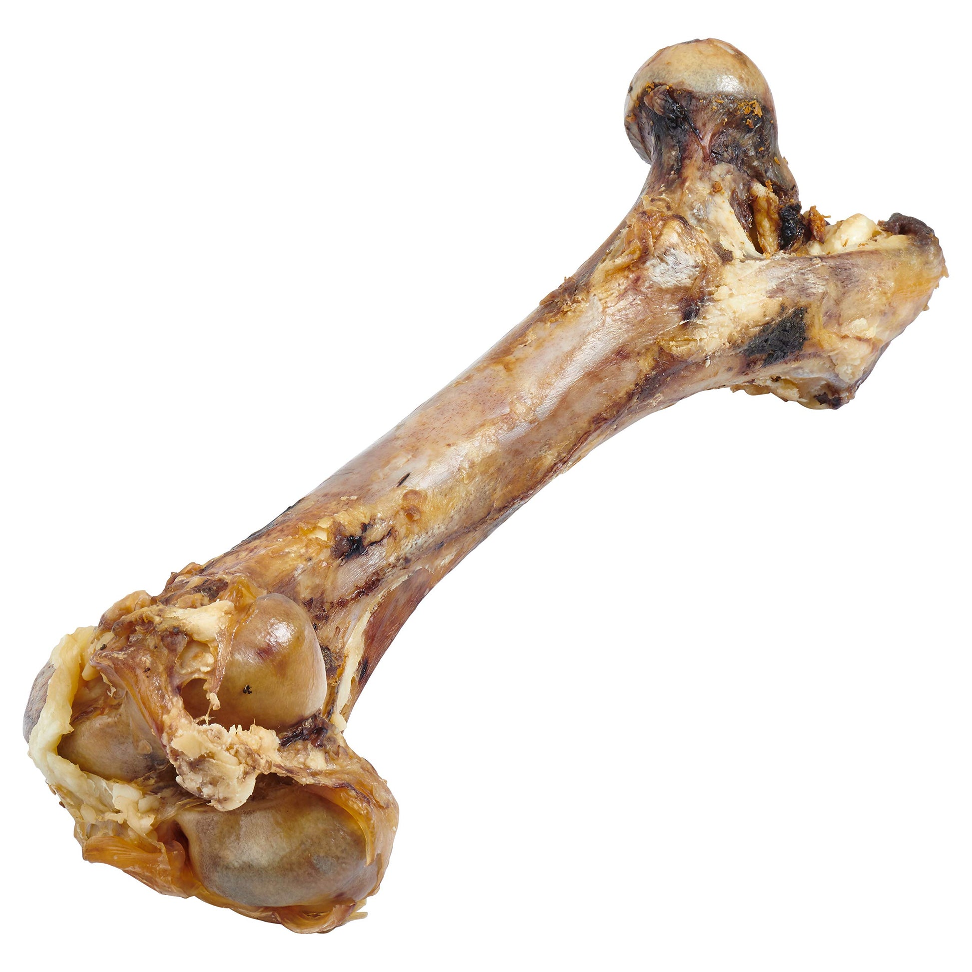 Monster Extra Large Femur Bone for Dogs – Giant Chew Treat for Power Chewers - Advance Pets Product