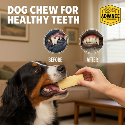 Water Buffalo Cheek Chips – Long-Lasting Rawhide-Free Dog Chews | High Protein Treats - Advance Pets Product