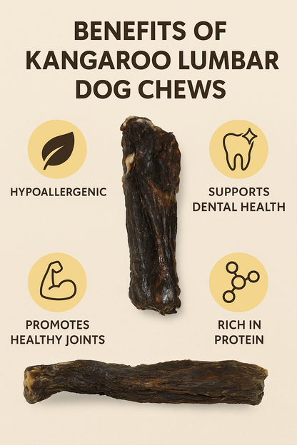Kangaroo Lumbar Dog Chew – Natural, Hypoallergenic & Dental Health Treat - Advance Pets Product