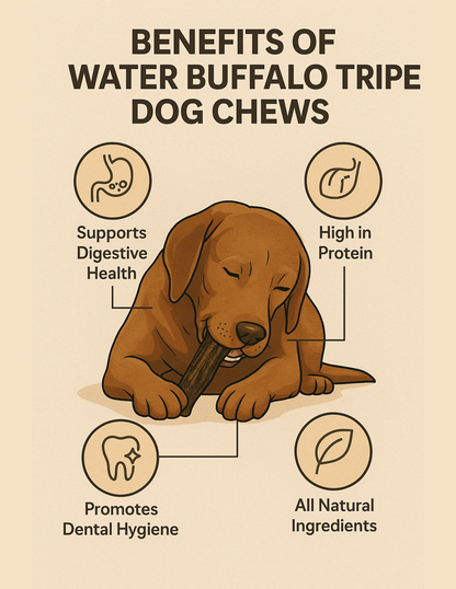 Water Buffalo Tripe Dog Treats – Natural, Grass-Fed, Protein-Rich Chews - Advance Pets Product