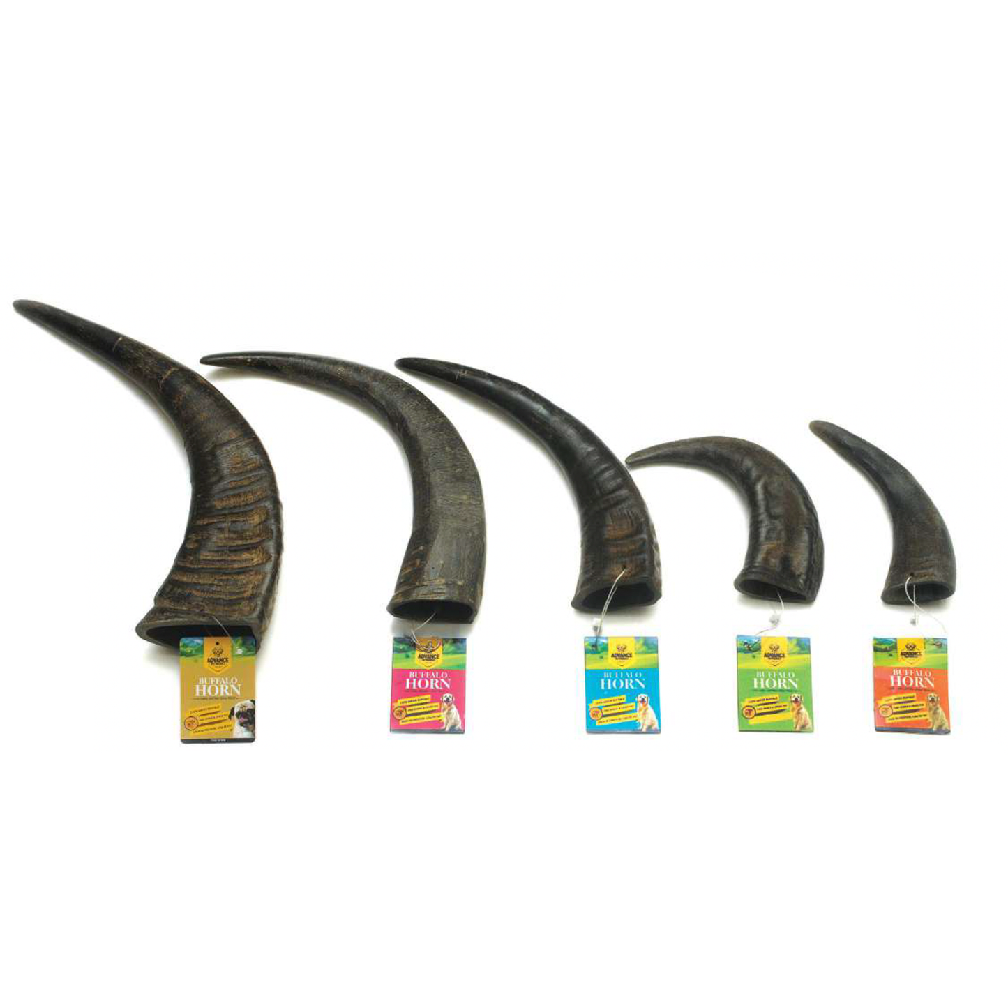 100% Natural Water Buffalo Horn Dog Chews | Long-Lasting & Healthy Treats for Dogs - Advance Pets Product