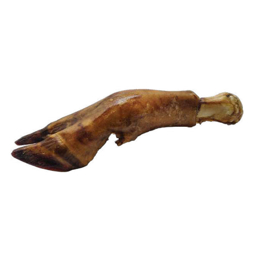 Water Buffalo Trotter Dog Chew – All Natural, Long-Lasting, and Great for Dental Health - Advance Pets Product
