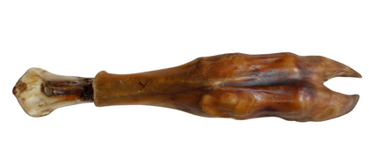 Water Buffalo Trotter Dog Chew – All Natural, Long-Lasting, and Great for Dental Health - Advance Pets Product