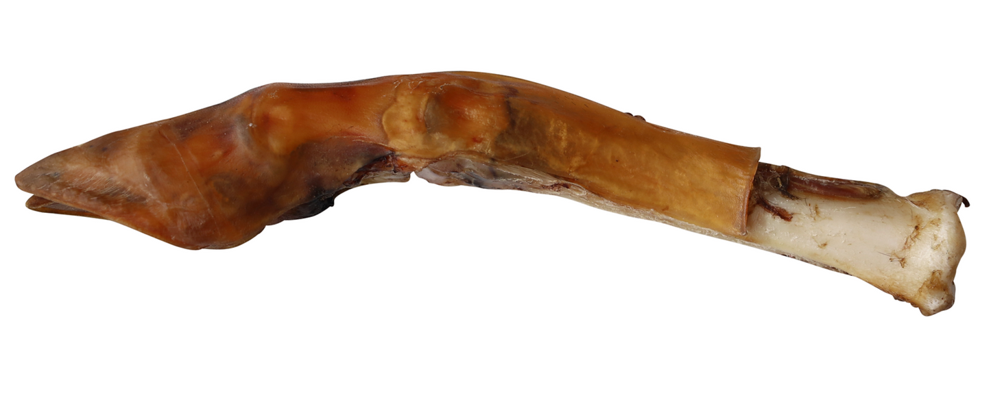 Water Buffalo Trotter Dog Chew – All Natural, Long-Lasting, and Great for Dental Health - Advance Pets Product