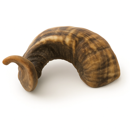 All-Natural Sheep Horn Dog Treats – Free-Range, Grass-Fed, Himalayan Sourced