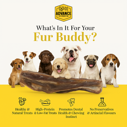 Water Buffalo Tail Dog Treat – 100% Natural, Grass-Fed, High Protein, Low Fat - Advance Pets Product