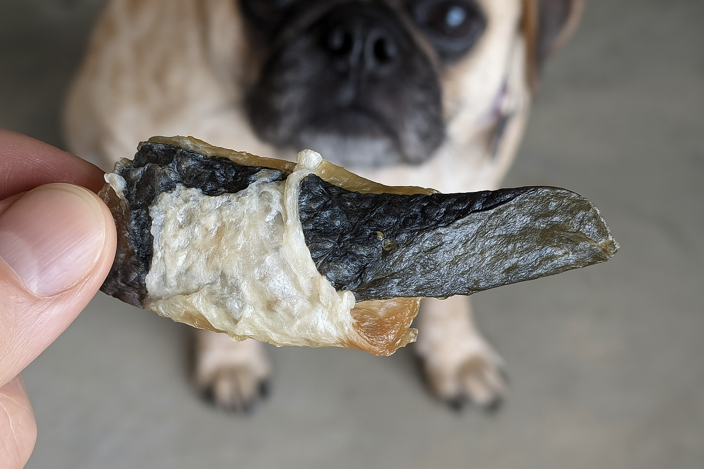Wild Atlantic Salmon Dog Treats for Training | Natural & Healthy Chews