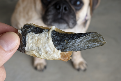 Wild Atlantic Salmon Dog Treats for Training | Natural & Healthy Chews