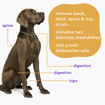 H-Shape Adjustable Double Diner with Removable Stainless Steel Bowls - Non-Skid, Ergonomic Design for All Dog Sizes - Advance Pets Product