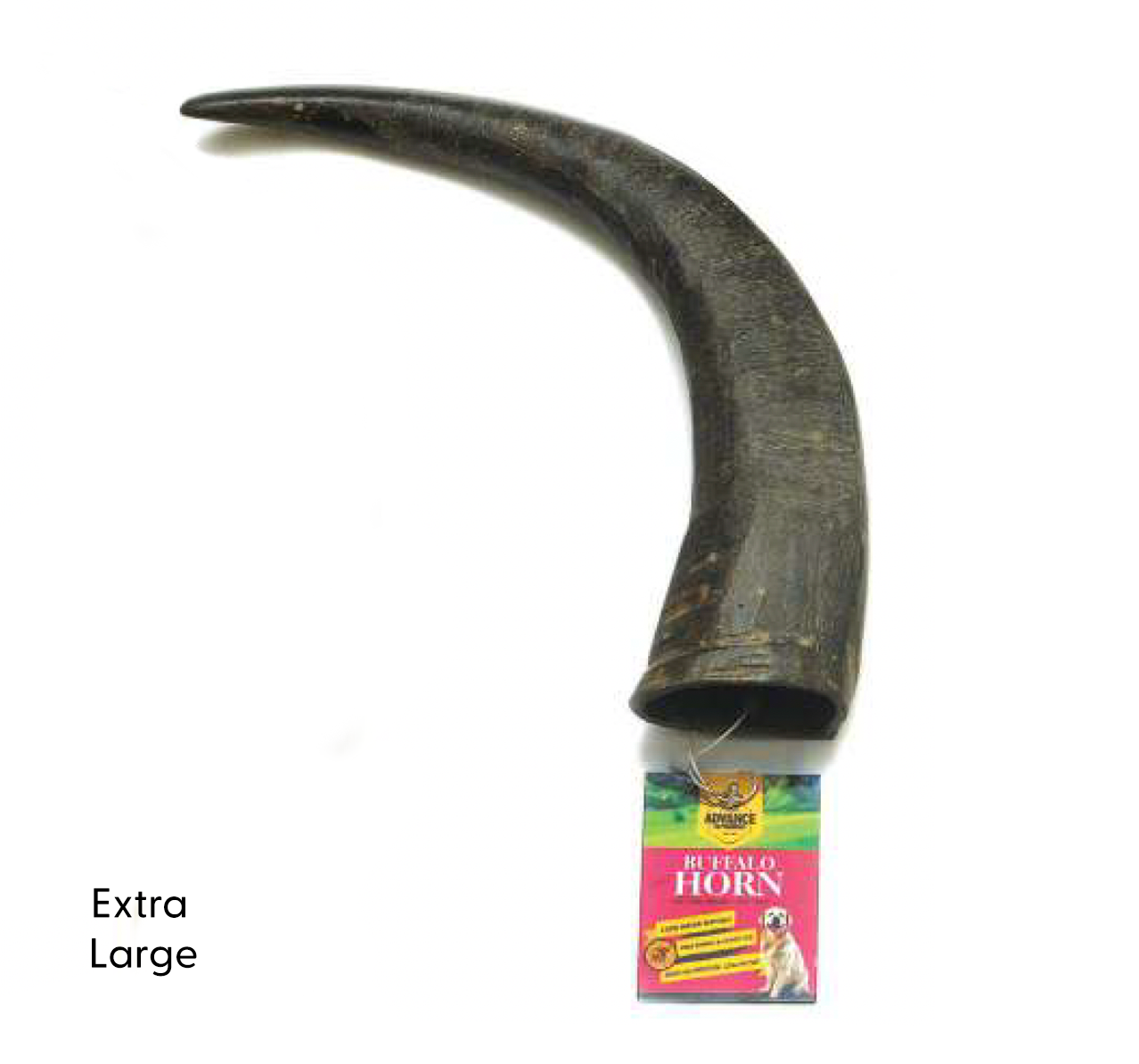 100% Natural Water Buffalo Horn Dog Chews | Long-Lasting & Healthy Treats for Dogs - Advance Pets Product