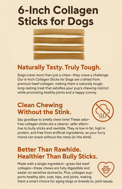 6-Inch Collagen Sticks for Dogs – Pack of 4 | Odor-Free, Long-Lasting, Rawhide Alternative