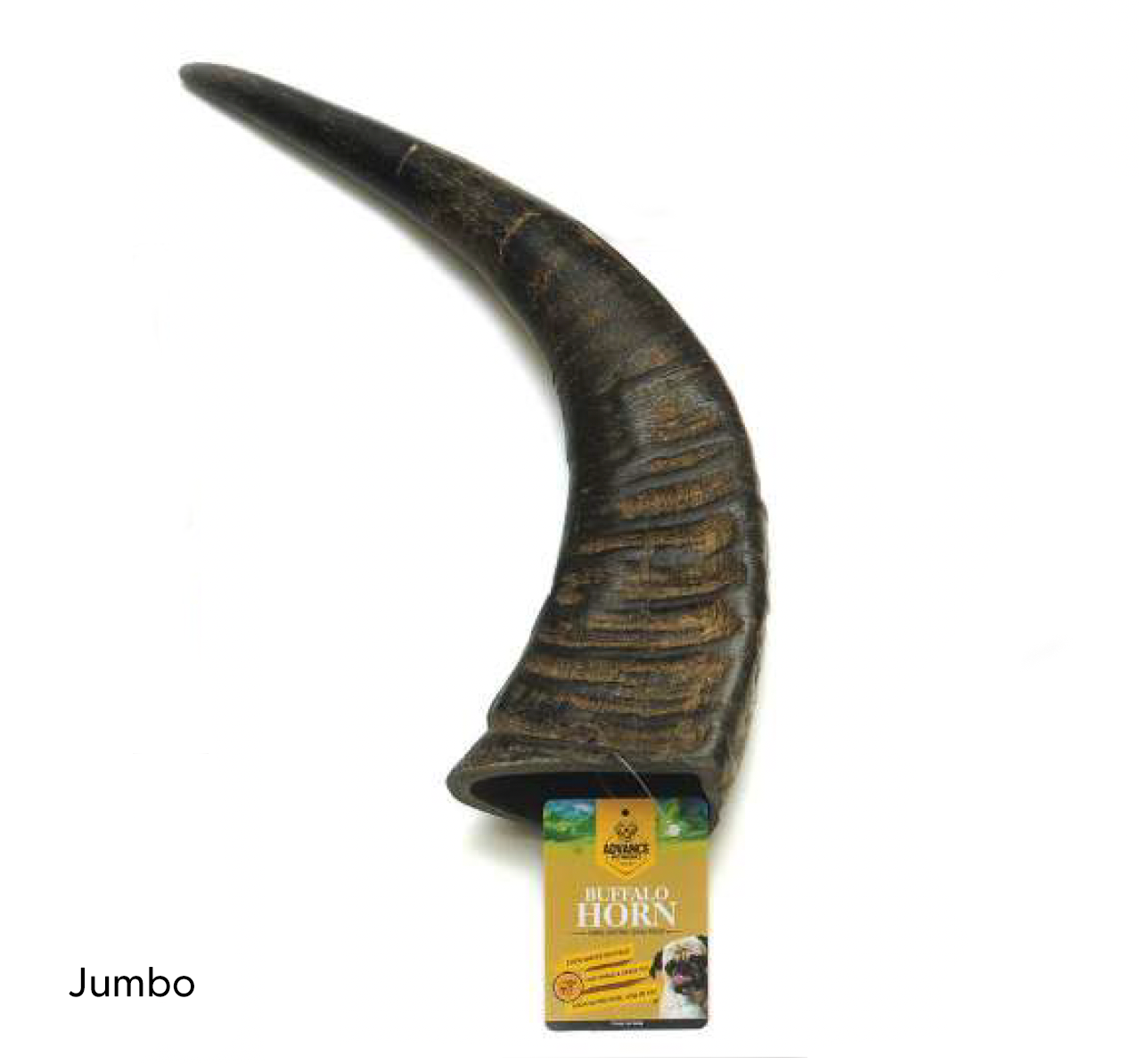 100% Natural Water Buffalo Horn Dog Chews | Long-Lasting & Healthy Treats for Dogs - Advance Pets Product