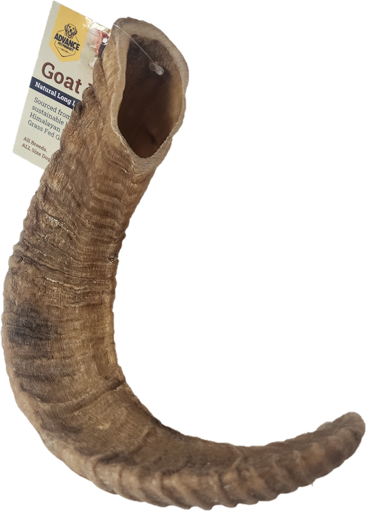 Natural Goat Horn - Advance Pets Product