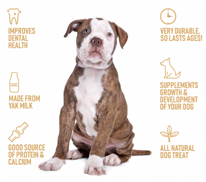 All-Natural Gourmet Cheesy Chews for Dogs – Long-Lasting, High-Protein Yak Milk Treats - Advance Pets Product