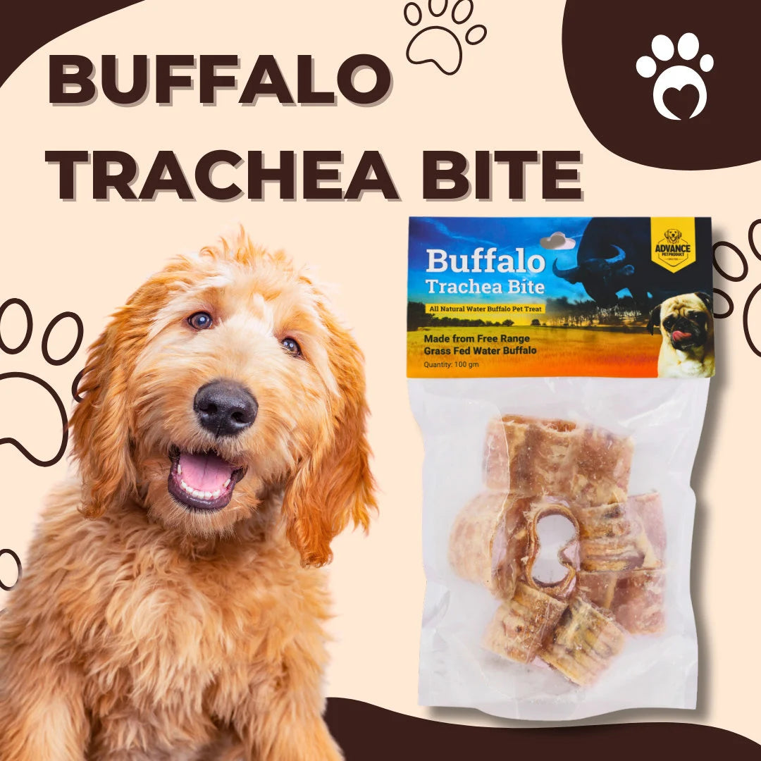Buffalo Trachea Bites for Dogs – Natural, Single Ingredient Chew with Joint Support - Advance Pets Product