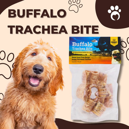 Buffalo Trachea Bites for Dogs – Natural, Single Ingredient Chew with Joint Support - Advance Pets Product