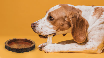 Round Wooden Bark Bowl – Handcrafted Natural Mango Wood Serving & Pet Bowl - Advance Pets Product