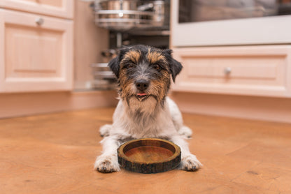 Round Wooden Bark Bowl – Handcrafted Natural Mango Wood Serving & Pet Bowl - Advance Pets Product